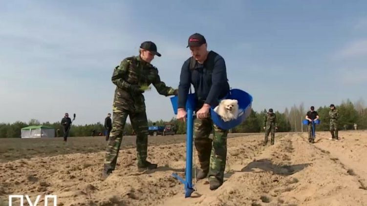 Бацька своим примером доказывает ненужность тотального карантина - объявил субботник и сам пошел в поля с собачкой. Фото: телеграм-канал 