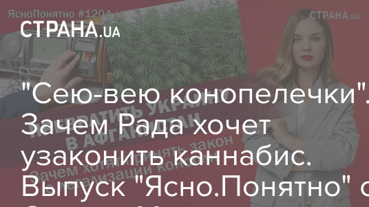 Олесю медведеву ясно и понятно. Сею конопелечку. Ясно понятно Олеся. Сею вею конопелечку. Сею сею сею конопелечки текст.