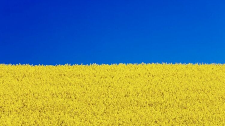 Цвета флага Украины