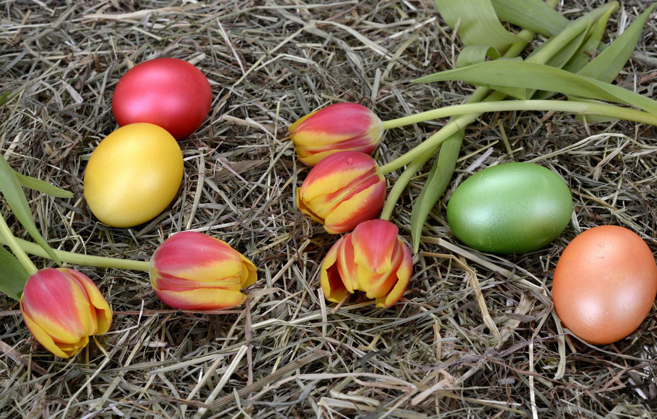 Почему на Пасху красят яйца: традиции и значения цветов