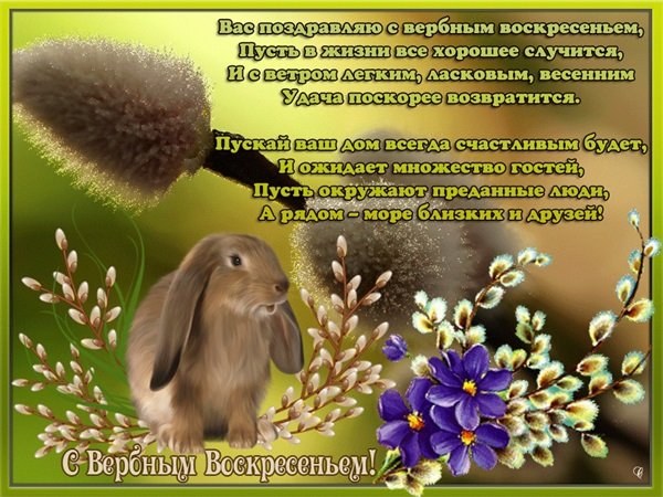 Вербное воскресенье-2022: красивые картинки и поздравления с православным праздником