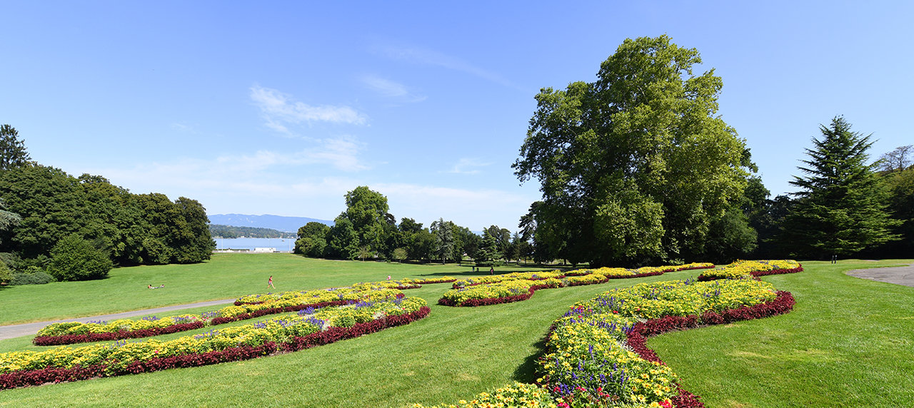 La parks. Парк ла гранж Женева. Женева парки. Поле в Женеве. Parc la Grange Geneva.