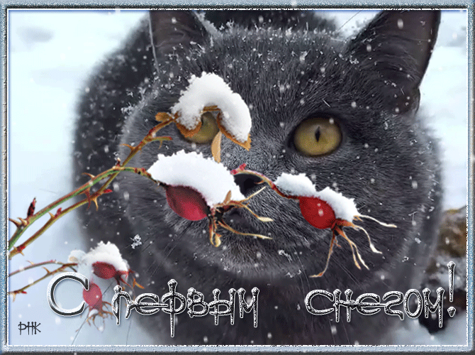 Сердечные пожелания и милые открытки с первым снегом - в подборке Главреда.