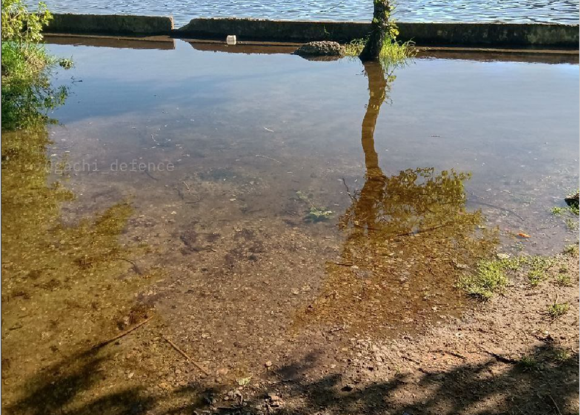 В Каменке-Днепровской поднялся уровень воды. Фото и видео