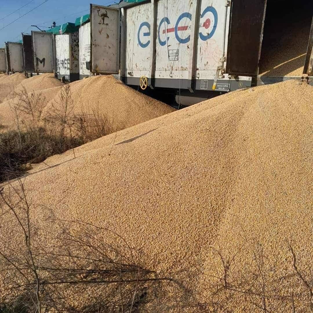 В Польше высыпали из вагонов украинское зерно