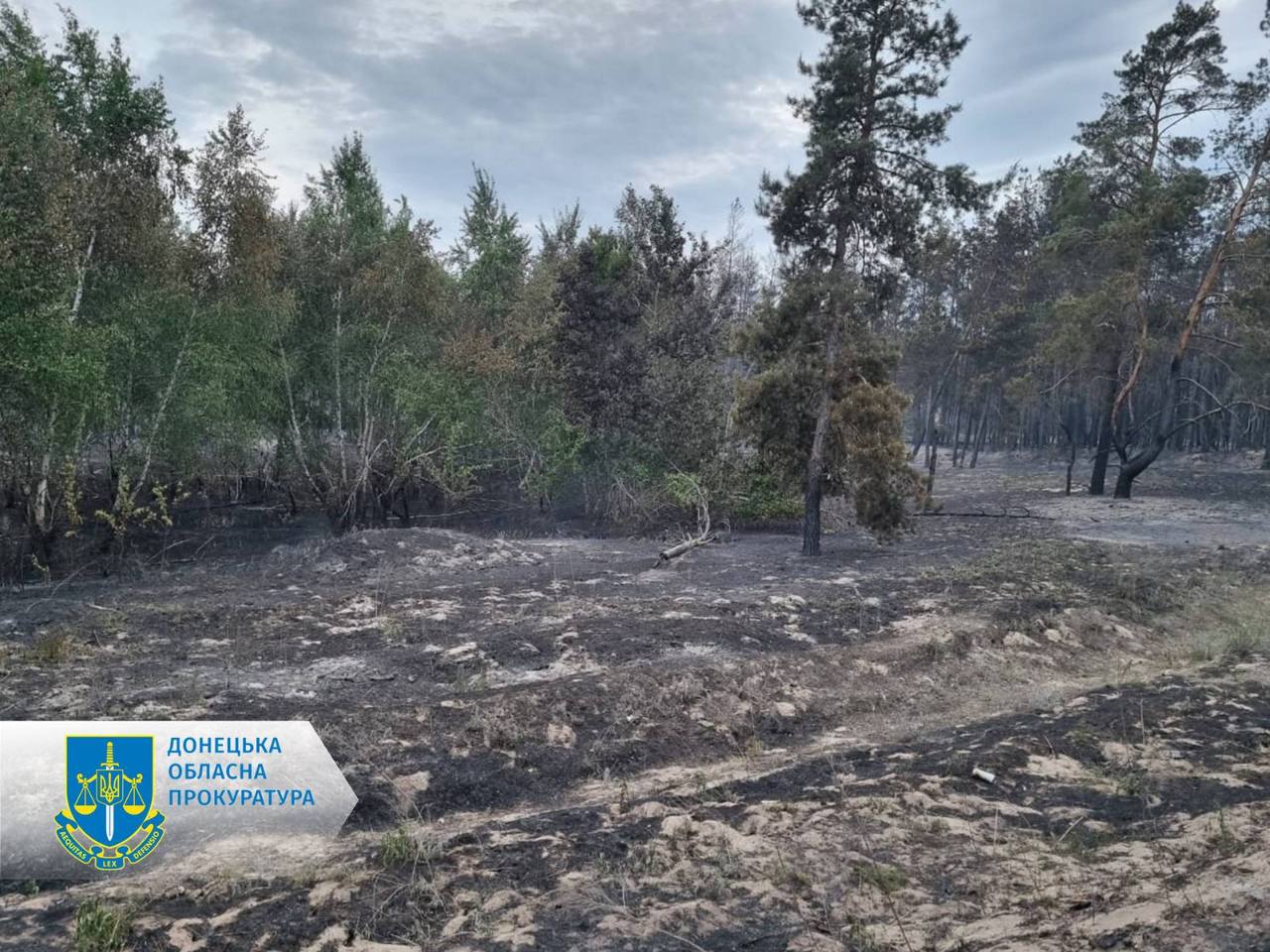 Фото последствий лесного пожара. Источник - прокуратура донецкой области